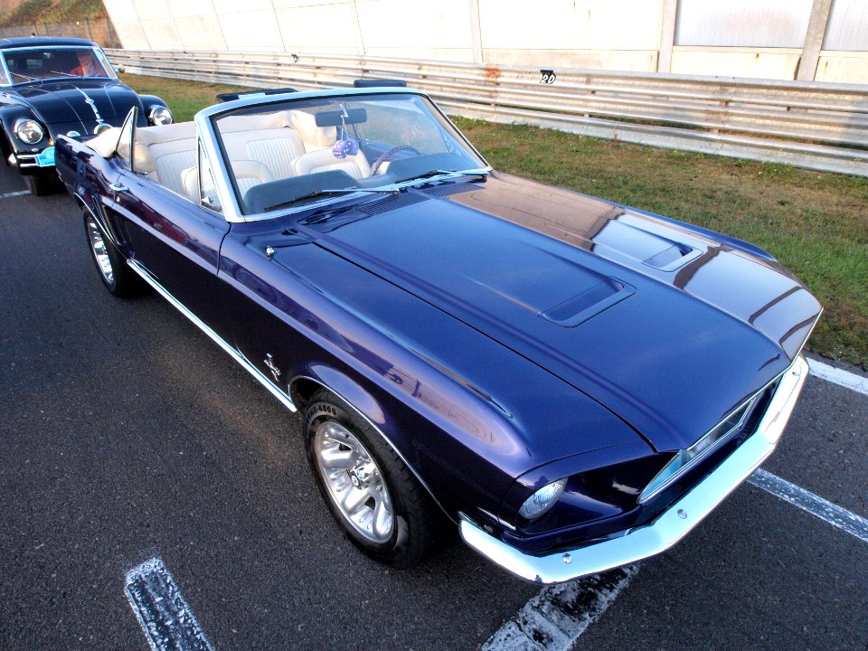 Ford Mustang dutch licence registration unknown pic4