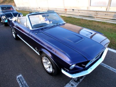 Ford Mustang dutch licence registration unknown pic4