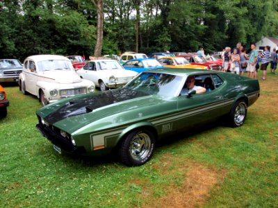 Ford Mustang Mach 1 (1973) pic2