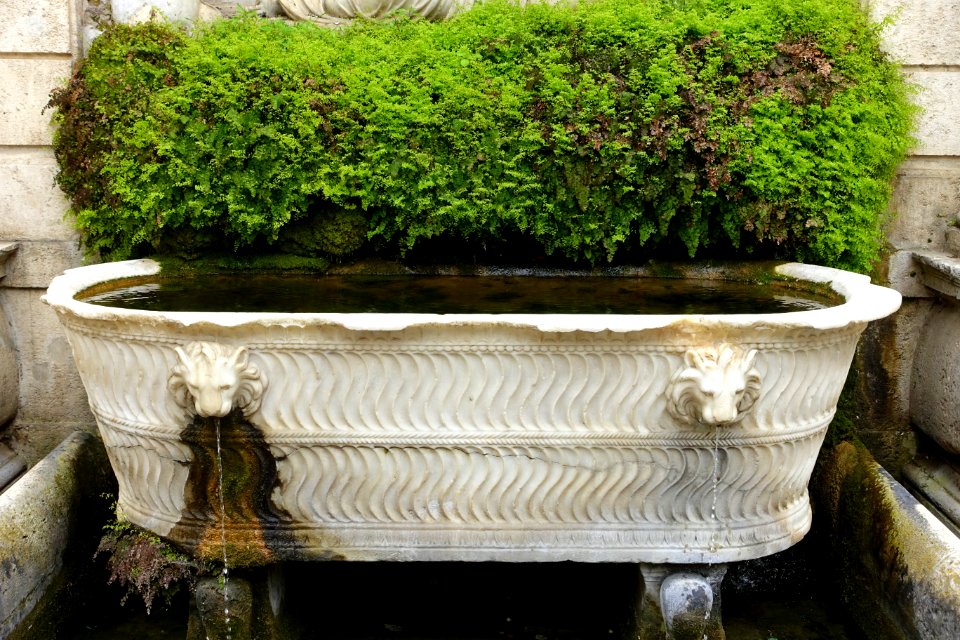 Fontana di Venere - Villa d'Este - Tivoli, Italy - DSC04221