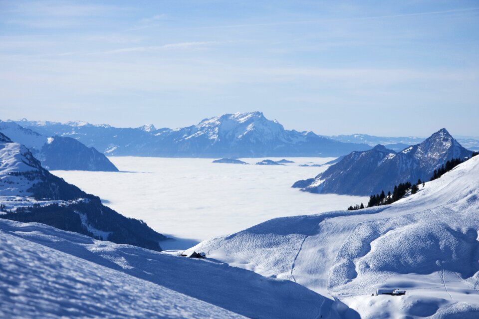 Fog wintry landscape photo