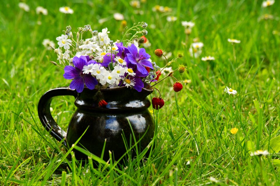 Summer colorful flower vase