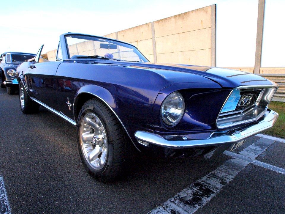 Ford Mustang dutch licence registration unknown pic5