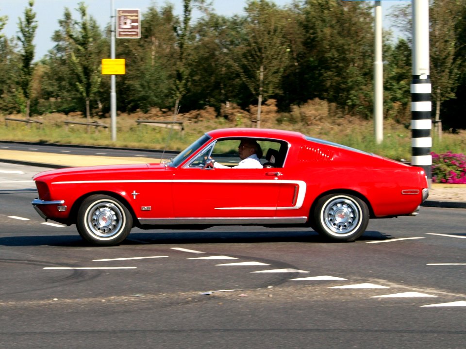 Ford Mustang Fastback 2+2 DM-15-74 pic3