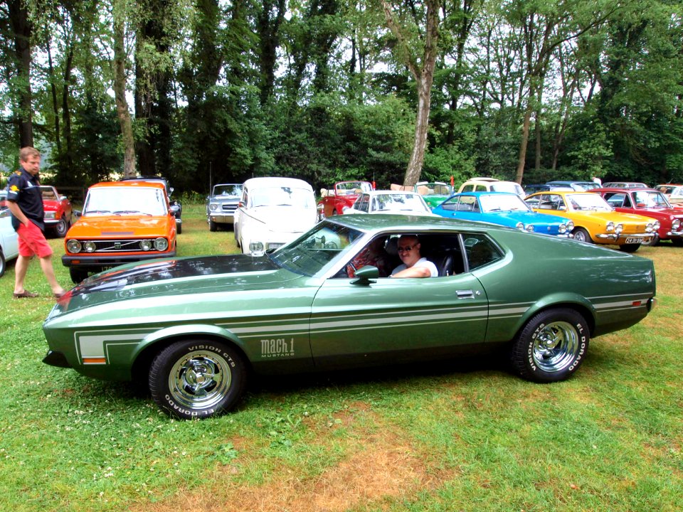 Ford Mustang Mach 1 (1973) pic3