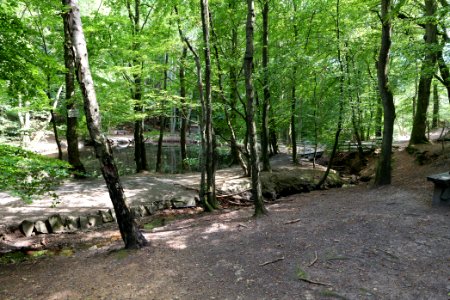 Forellenweiher Reichenbach Taunus 2020-08-18 02