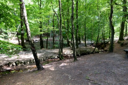 Forellenweiher Reichenbach Taunus 2020-08-18 01