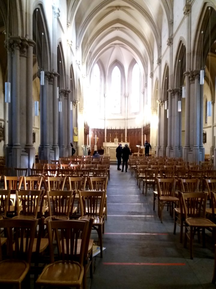 Fontaines-sur-Saône - Église Saint-Louis - Nef