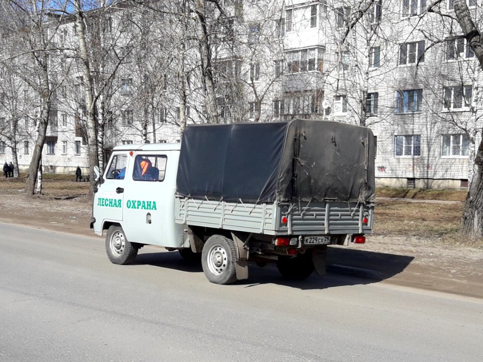 Forest Guard (Arkhangelsk region)