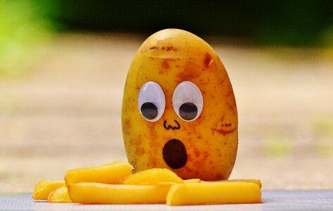 Funny fun horrified