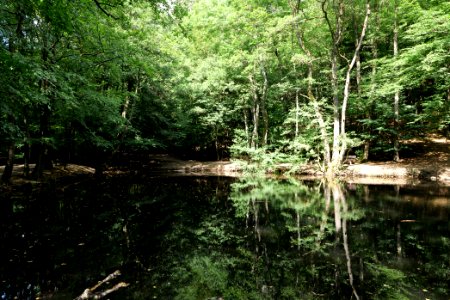 Forellenweiher Reichenbach Taunus 2020-08-18 06