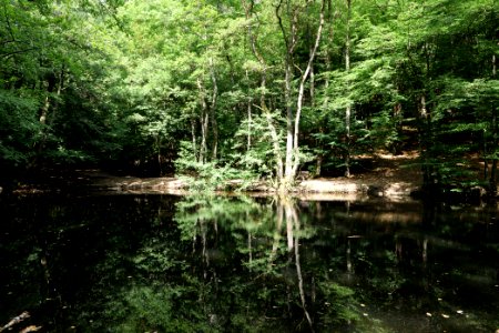 Forellenweiher Reichenbach Taunus 2020-08-18 07