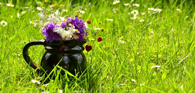 Summer colorful flower vase photo