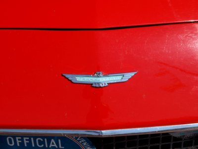 Ford Thunderbird (1956), Dutch licence registration DE-20-96 pic4