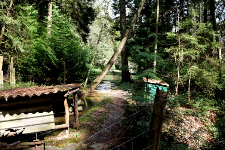 Forellengut Oberstedten 2021-04-06 02