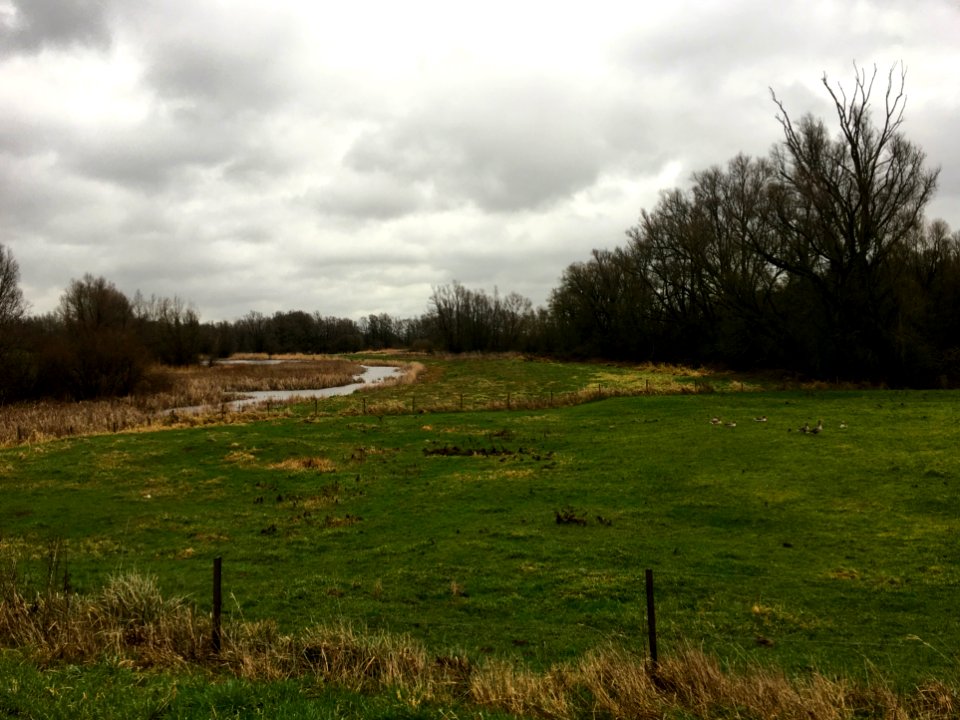 Forelands of Gendt
