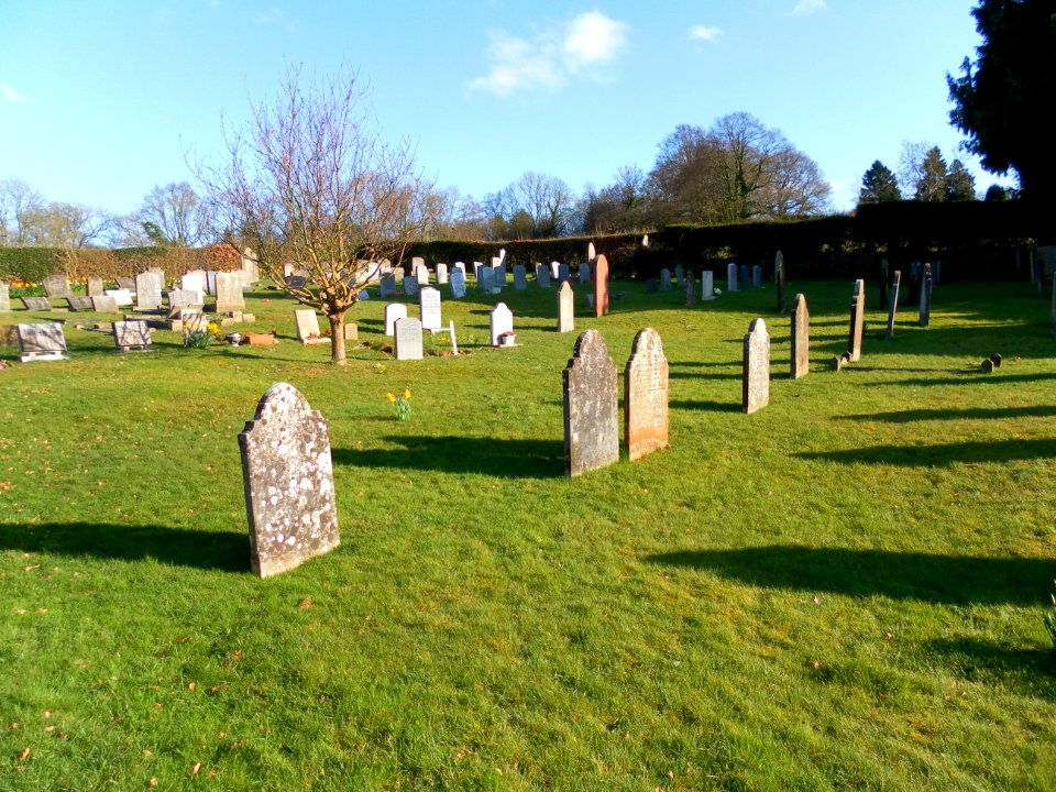 Forest Fold Baptist Church, London Road, Crowborough (March 2011) (Churchyard) (2)