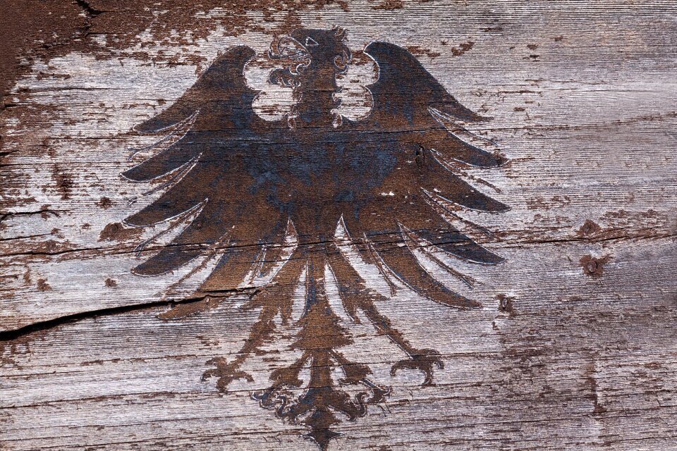 Painted weathered bird
