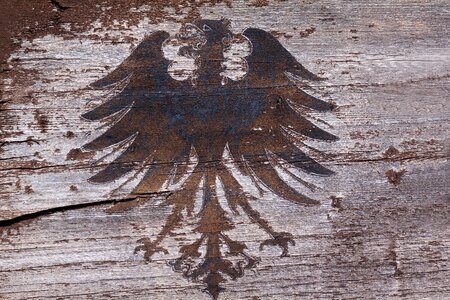 Painted weathered bird