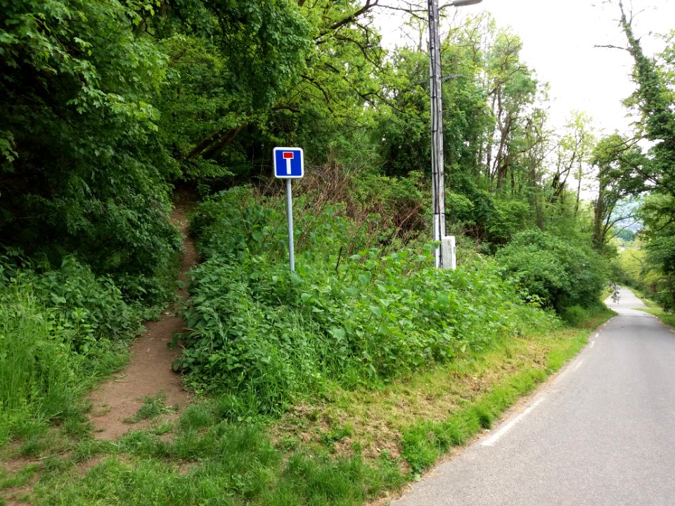 Fleurieu-sur-Saône - Montée de Champ Blanc - Début du chemin du Bois des Côtes