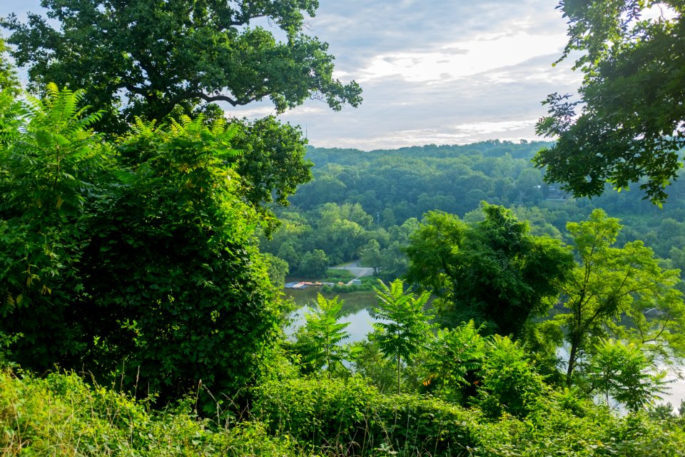 Fletchers cove seen from Virginia Geo Washington Parkway