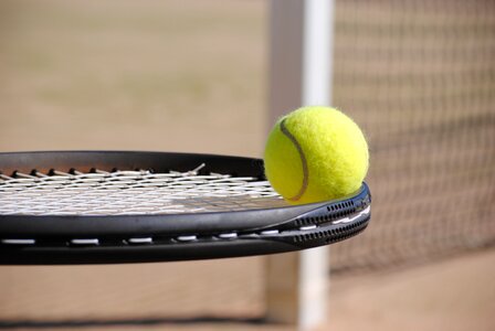Tennis ball sport bat