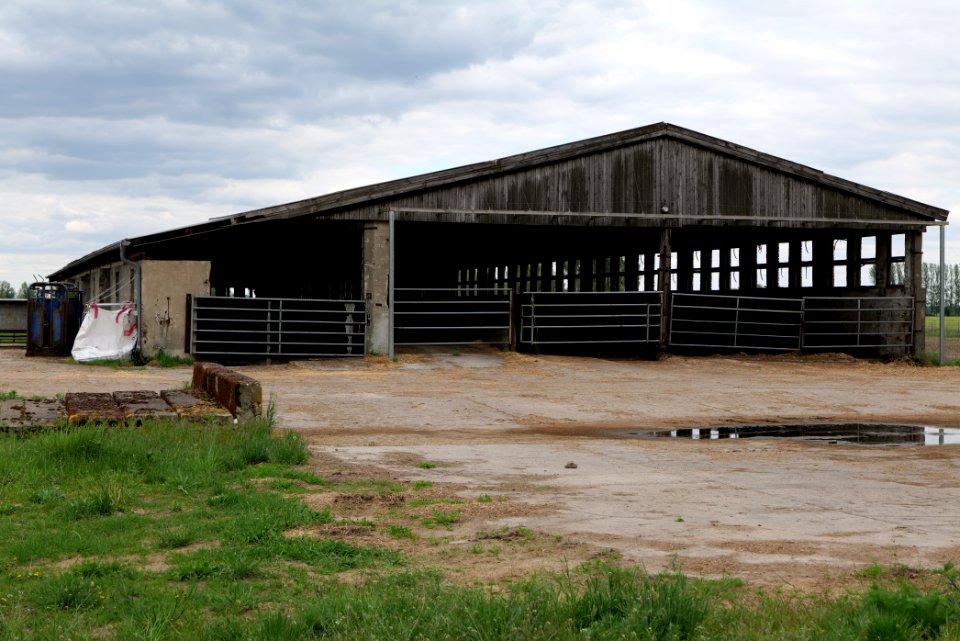 Fledermausquartier Stallgebäude in Linum 2020-05-15 17