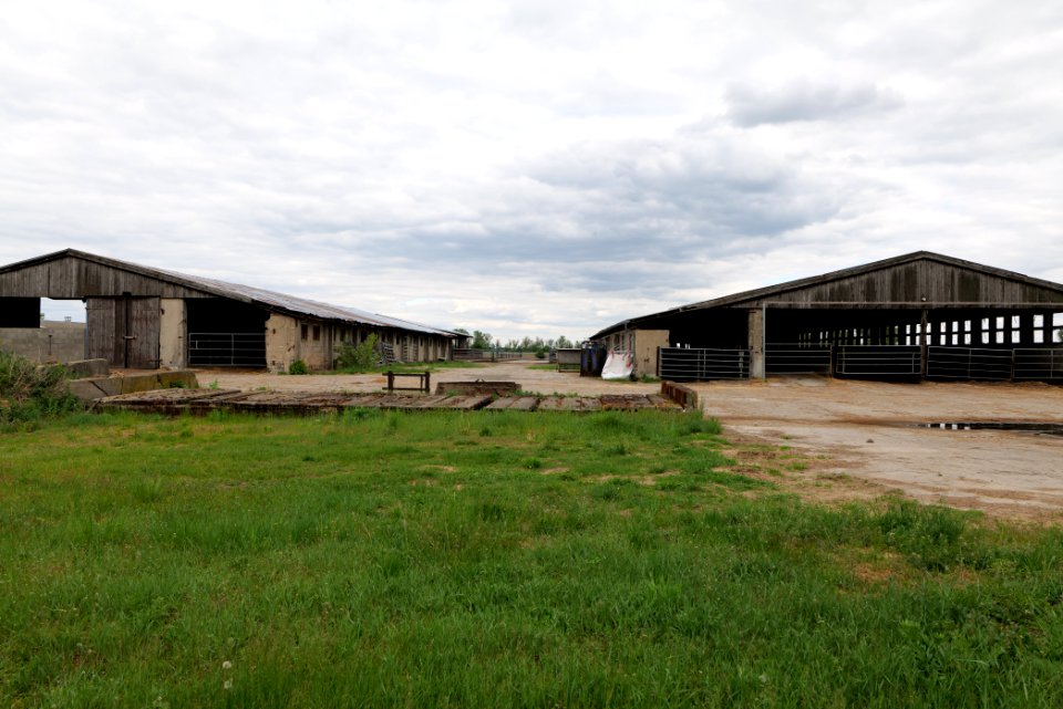 Fledermausquartier Stallgebäude in Linum 2020-05-15 20