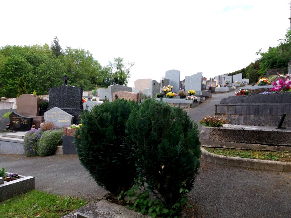Fleurieu-sur-Saône - Chemin du Cimetière - Cimetière - Partie haute