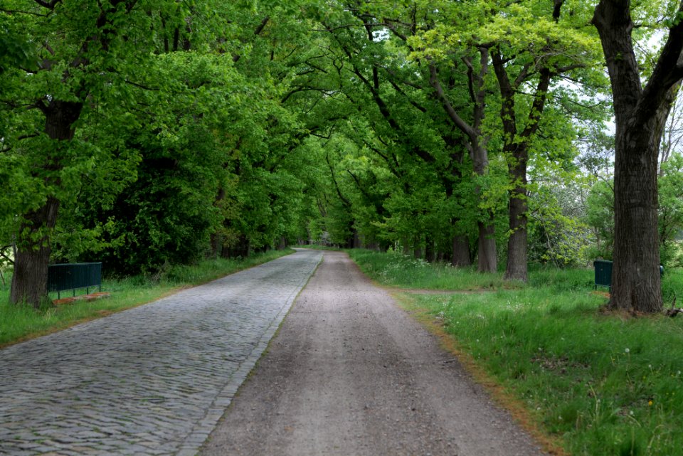 Flatower Straße Fehrbellin 2020-05-15 04