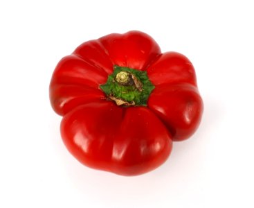 Flat red bell pepper 2017 A1