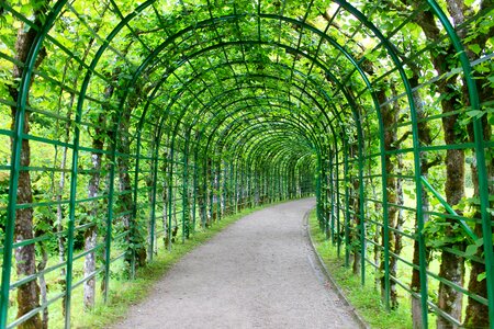 Fenced input garden