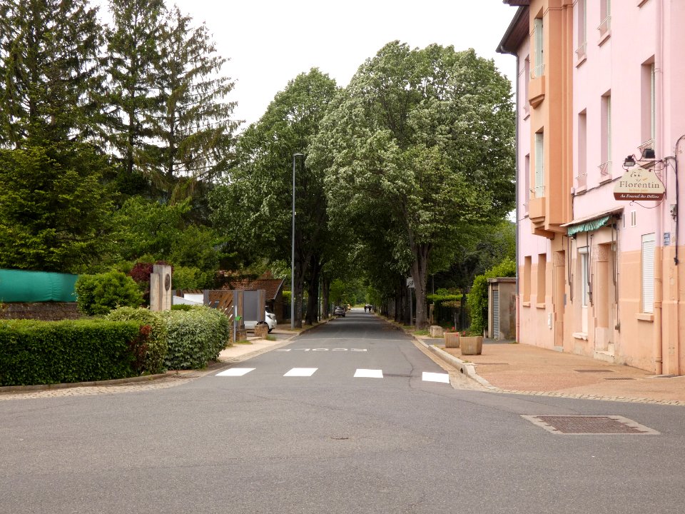 Fleurieu-sur-Saône - Avenue Philibert Gaillard - Depuis la Grande Rue