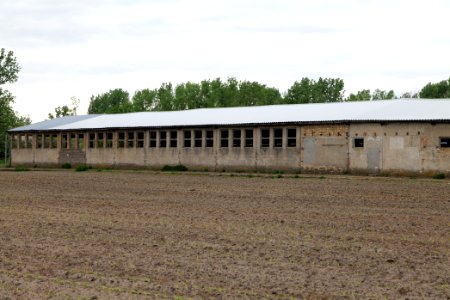 Fledermausquartier Stallgebäude in Linum 2020-05-15 13