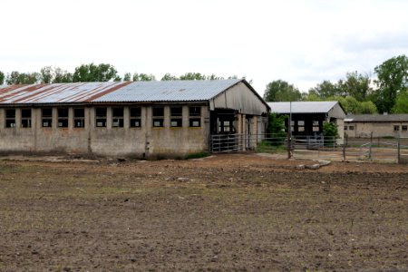 Fledermausquartier Stallgebäude in Linum 2020-05-15 06