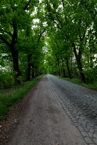 Flatower Straße Fehrbellin 2020-05-15 08