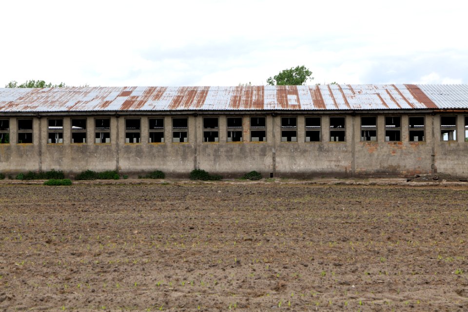 Fledermausquartier Stallgebäude in Linum 2020-05-15 12