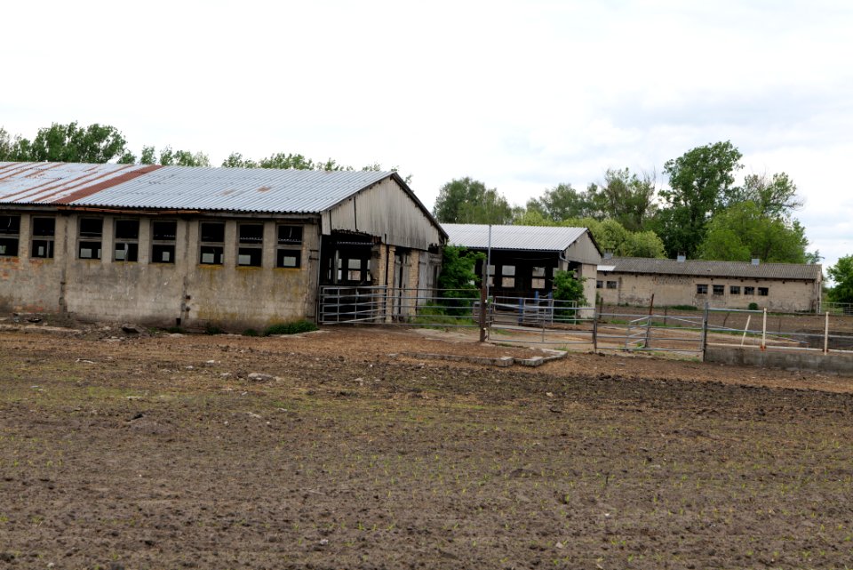 Fledermausquartier Stallgebäude in Linum 2020-05-15 10
