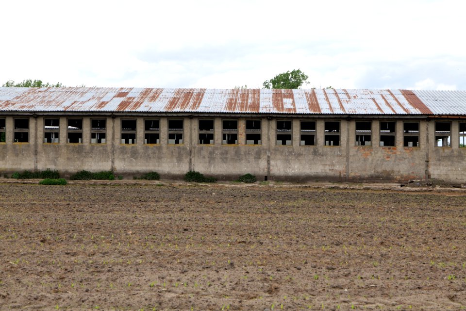 Fledermausquartier Stallgebäude in Linum 2020-05-15 11