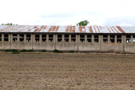 Fledermausquartier Stallgebäude in Linum 2020-05-15 11