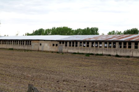 Fledermausquartier Stallgebäude in Linum 2020-05-15 09