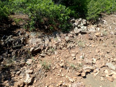 Flechado Formation type closeup