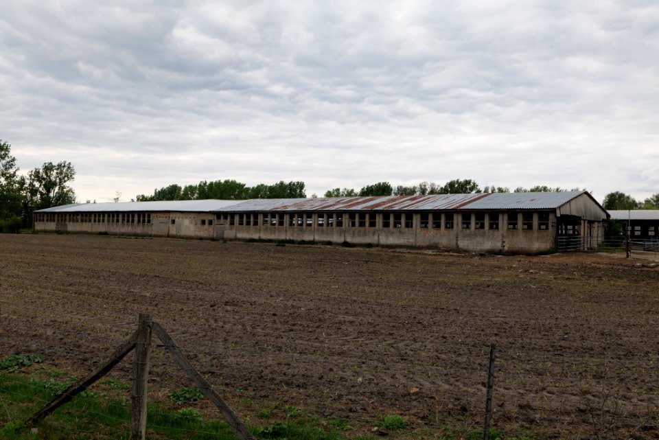 Fledermausquartier Stallgebäude in Linum 2020-05-15 07