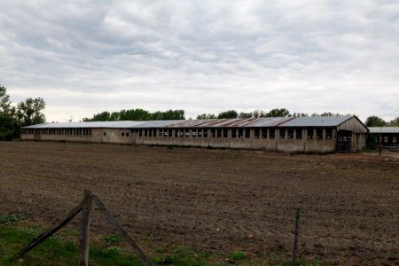 Fledermausquartier Stallgebäude in Linum 2020-05-15 07