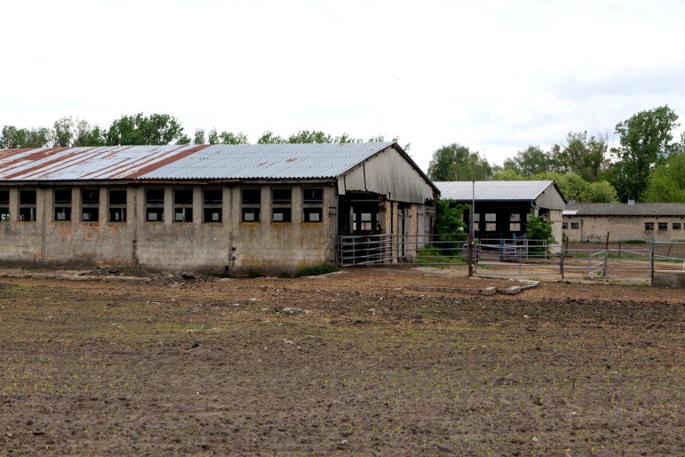 Fledermausquartier Stallgebäude in Linum 2020-05-15 01
