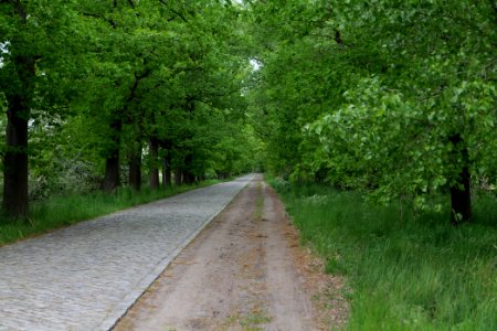 Flatower Straße Fehrbellin 2020-05-15 03
