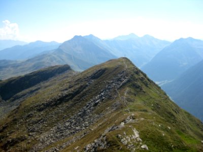 Fleckner und Fasnachter