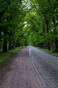 Flatower Straße Fehrbellin 2020-05-15 09
