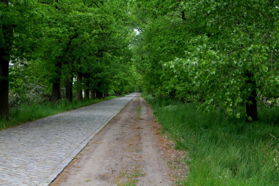 Flatower Straße Fehrbellin 2020-05-15 02