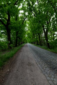 Flatower Straße Fehrbellin 2020-05-15 07